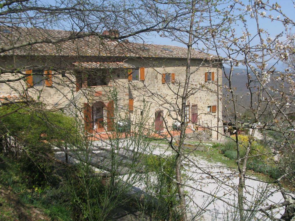 La Ghiandaia Casa Vacanza Lucolena in Chianti Zimmer foto