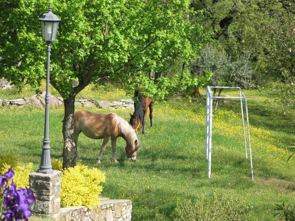 La Ghiandaia Casa Vacanza Lucolena in Chianti Exterior foto