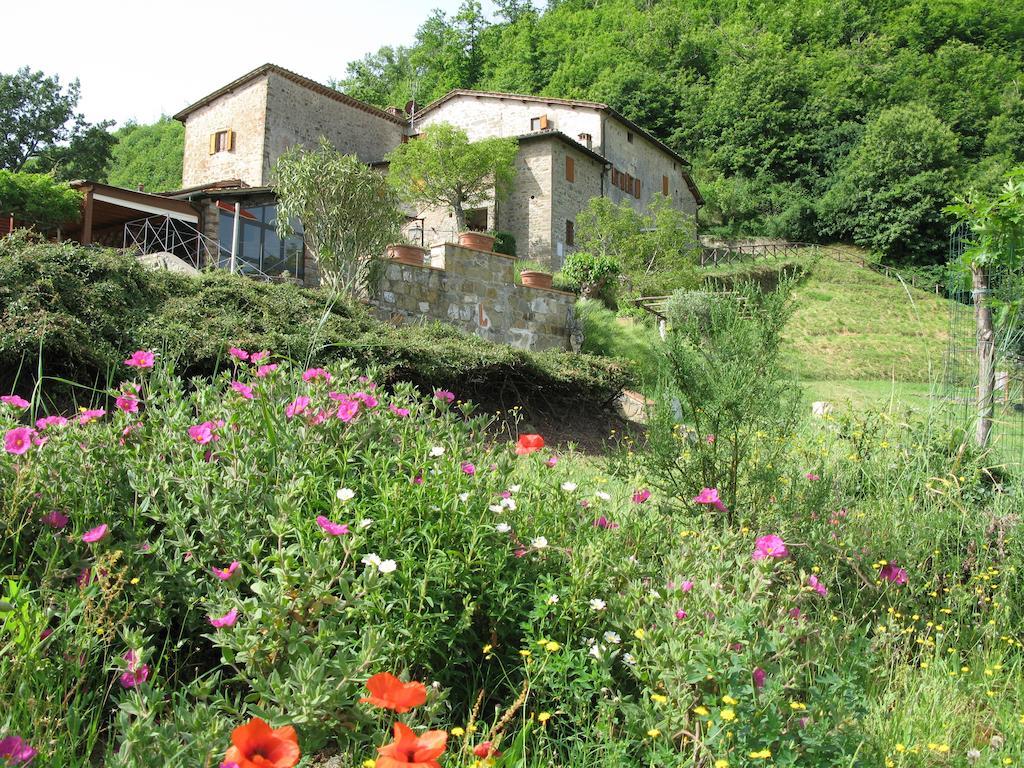 La Ghiandaia Casa Vacanza Lucolena in Chianti Exterior foto